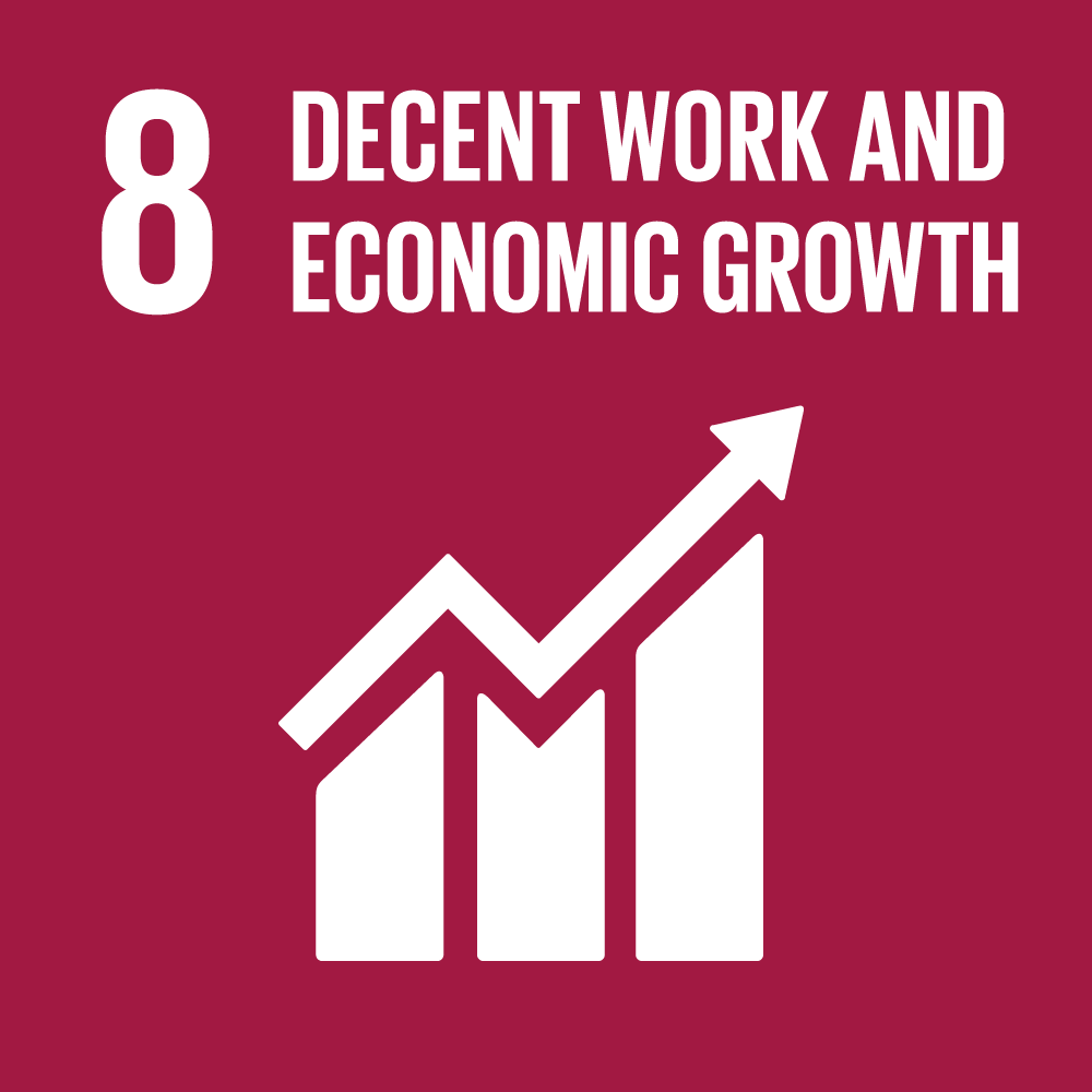 SDG 8 - Decent Work and Economic Growth